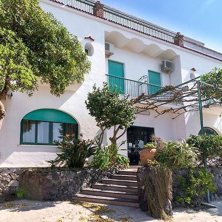Hotel Riviera Προτσίντα Εξωτερικό φωτογραφία