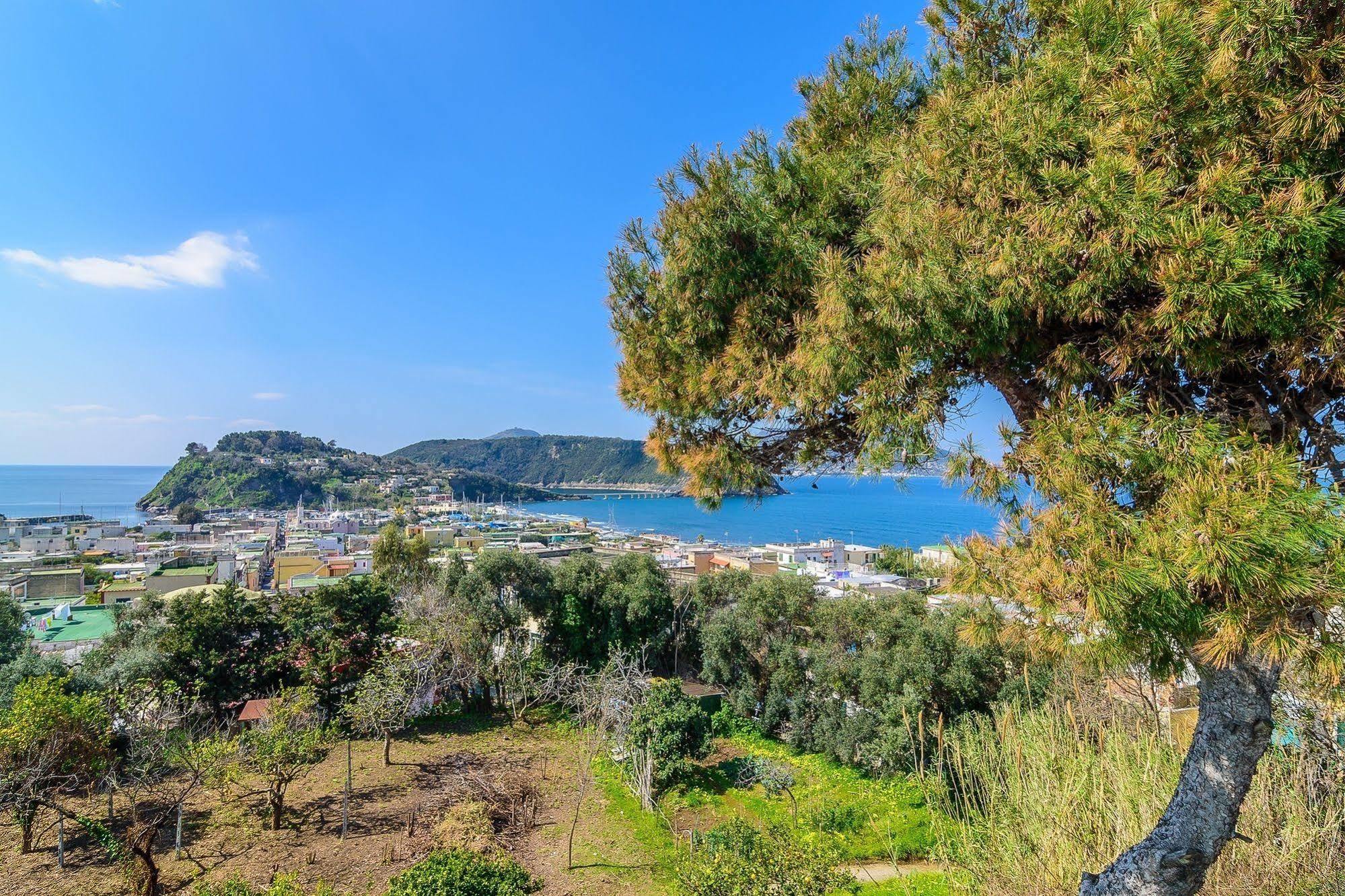 Hotel Riviera Προτσίντα Εξωτερικό φωτογραφία