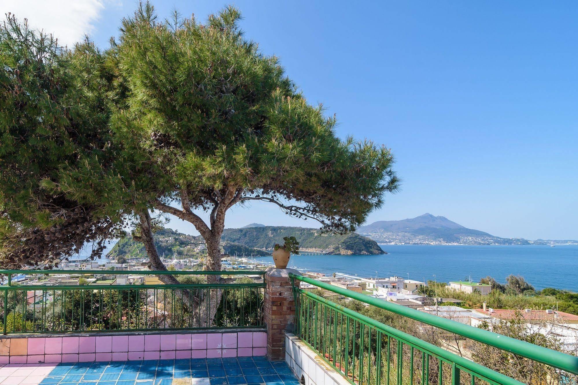 Hotel Riviera Προτσίντα Εξωτερικό φωτογραφία