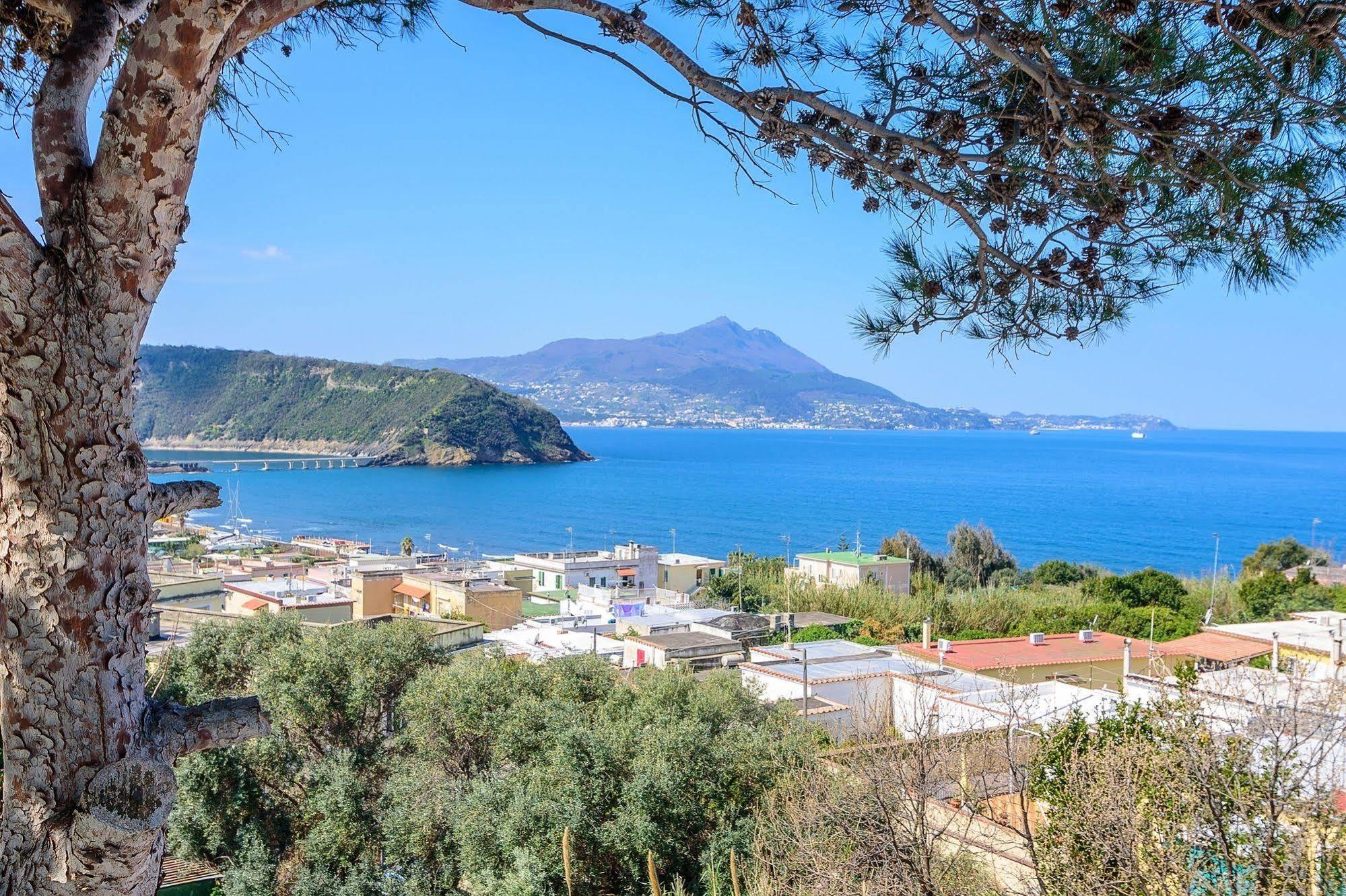 Hotel Riviera Προτσίντα Εξωτερικό φωτογραφία